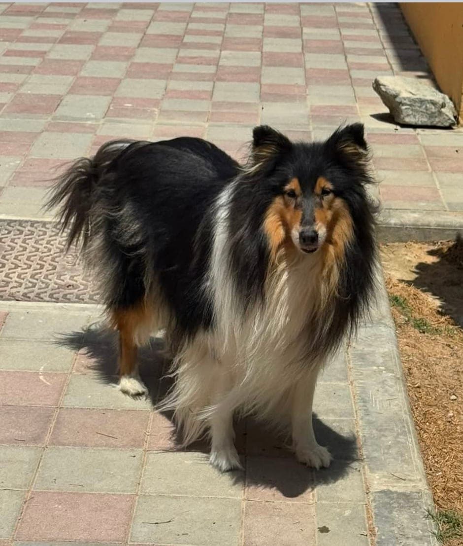 Luna