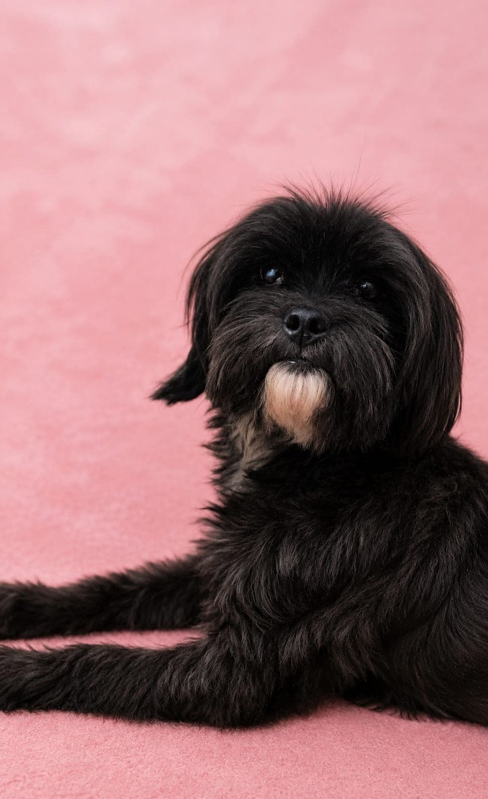 Tina