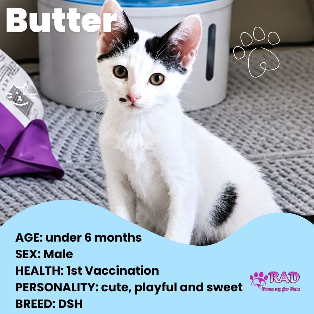Butter