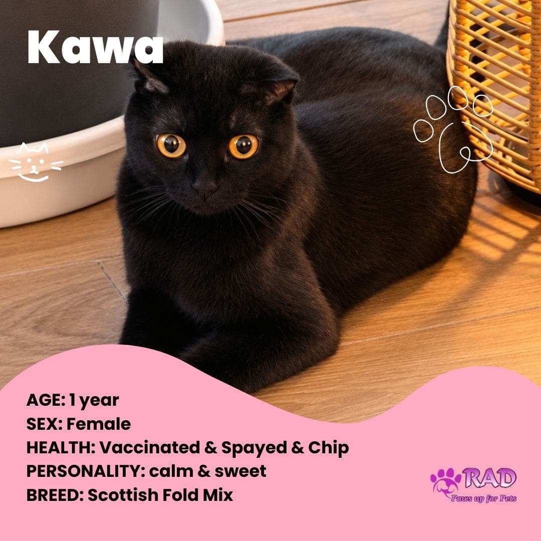 Kawa